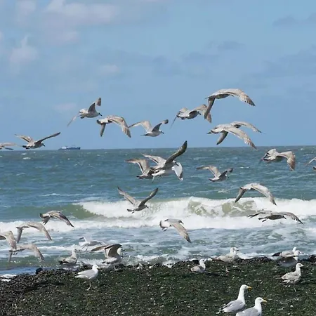 In With Garden Tatil Evi *